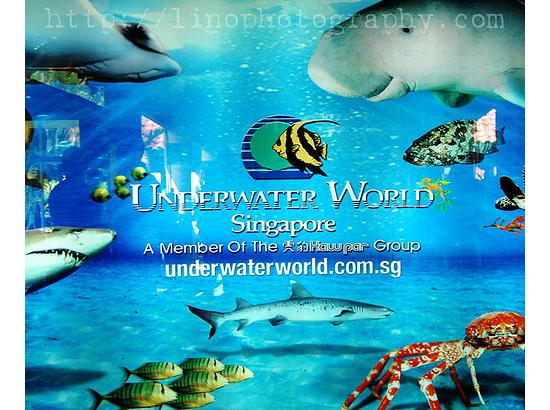 Underwater World Singapore and